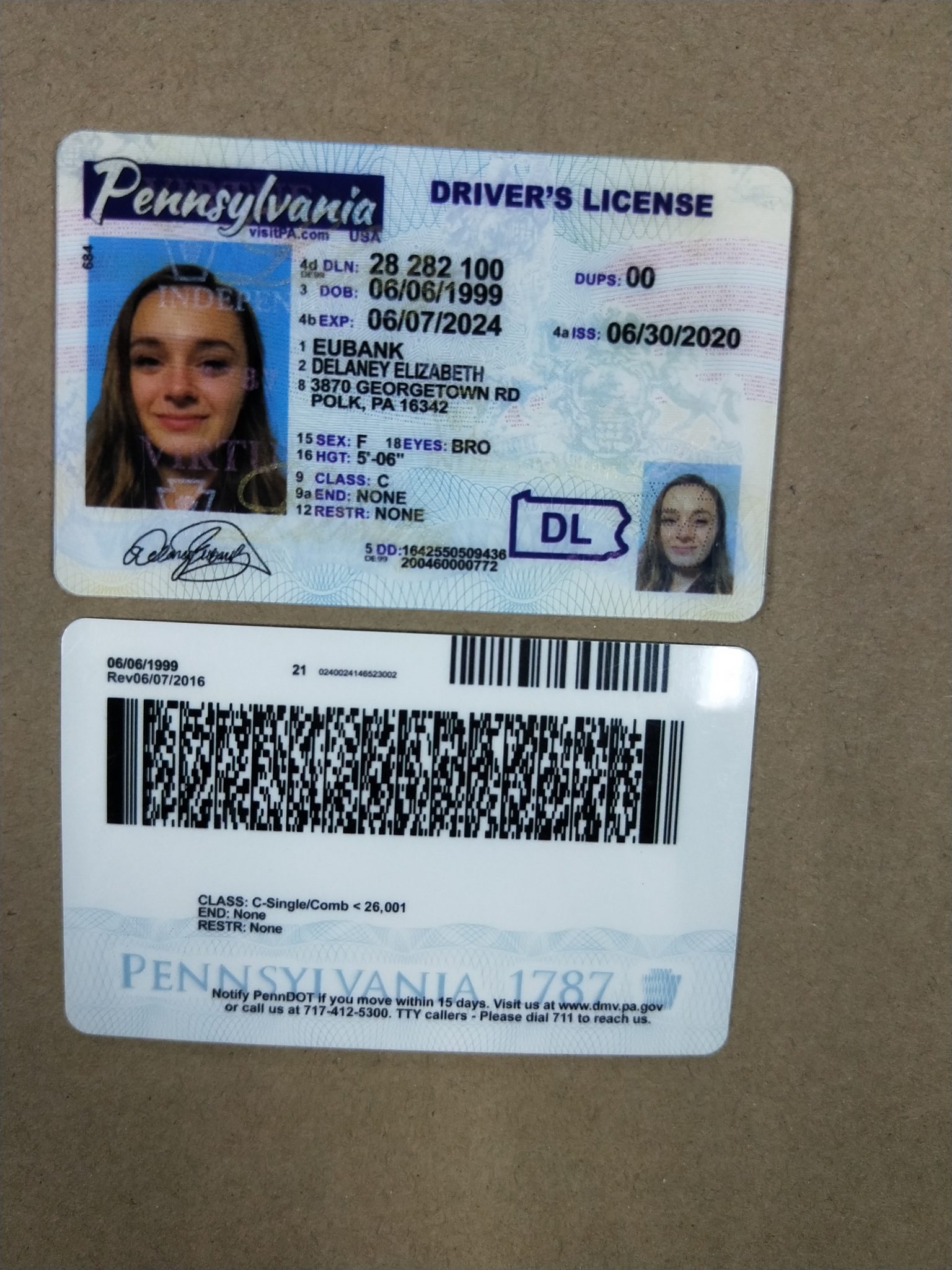 Fake pa drivers license template - hondirector