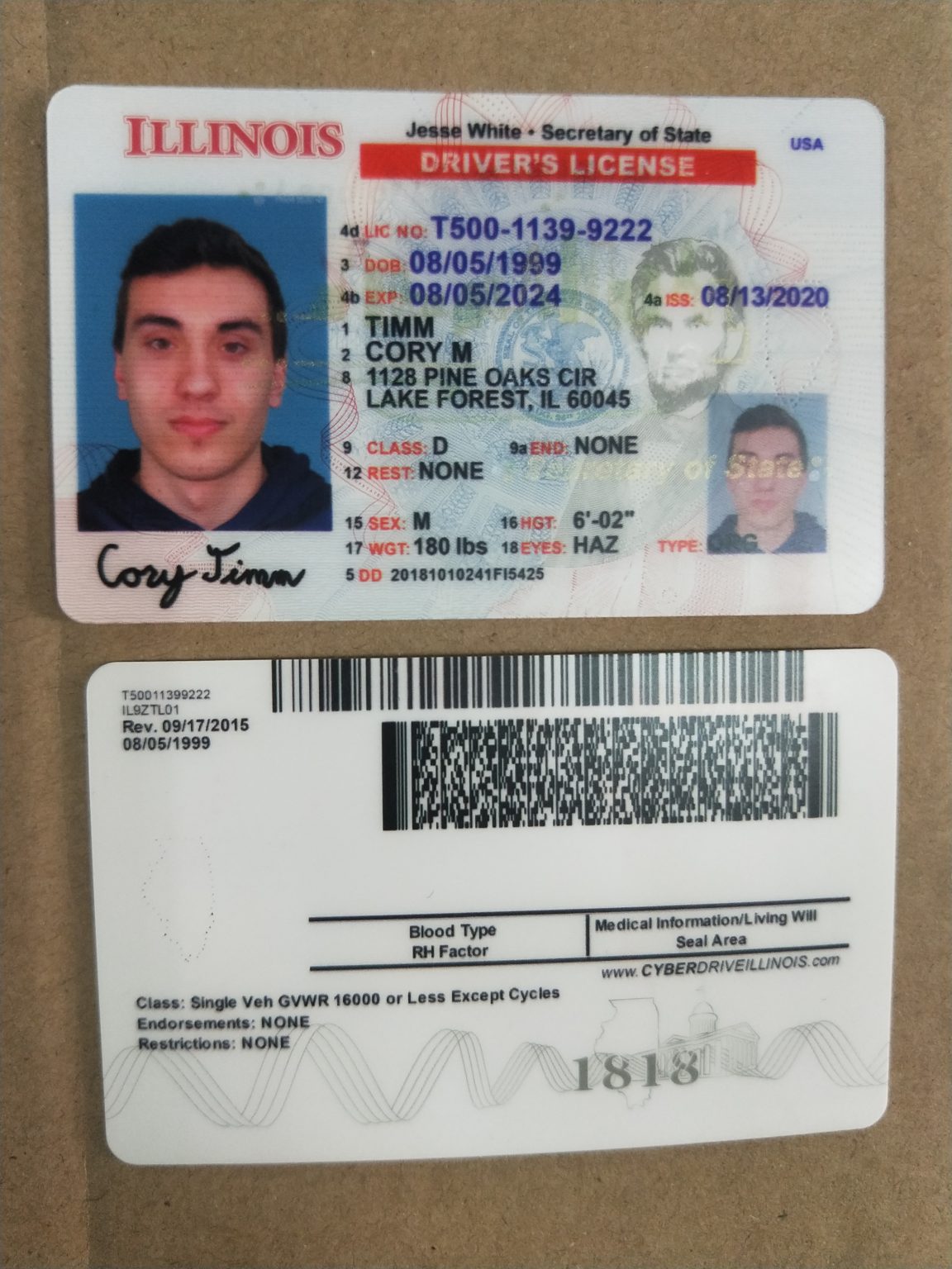fake illinois drivers license template