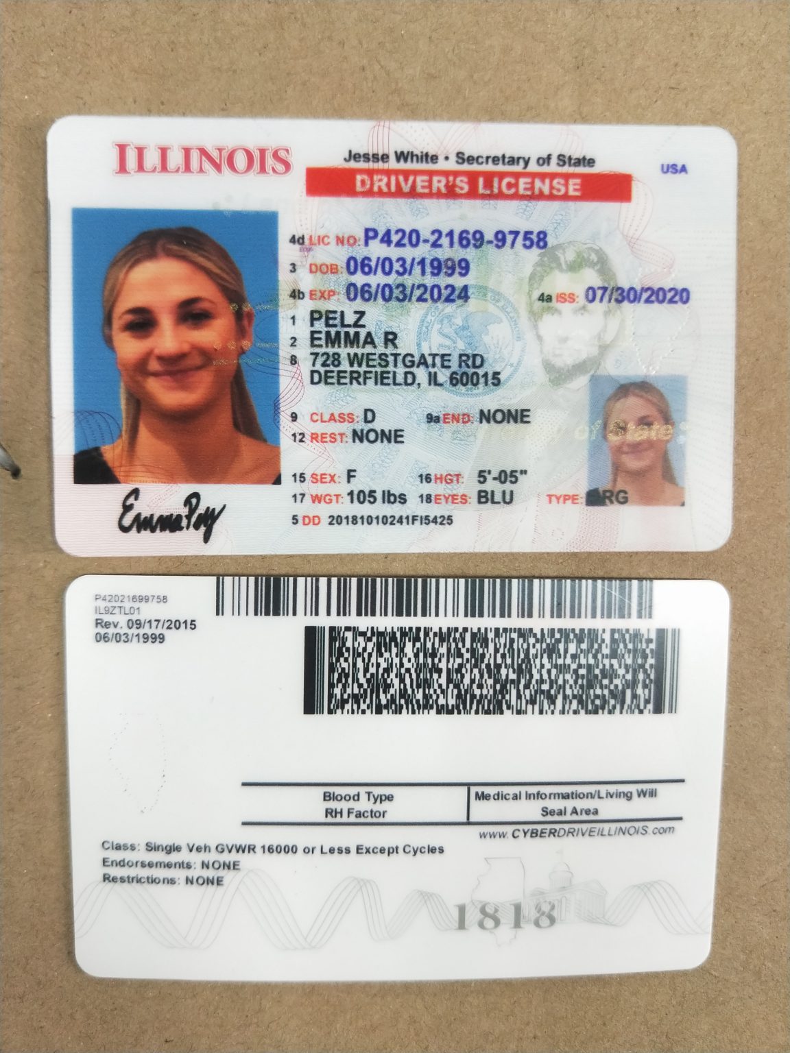 realistic fake drivers license online maker