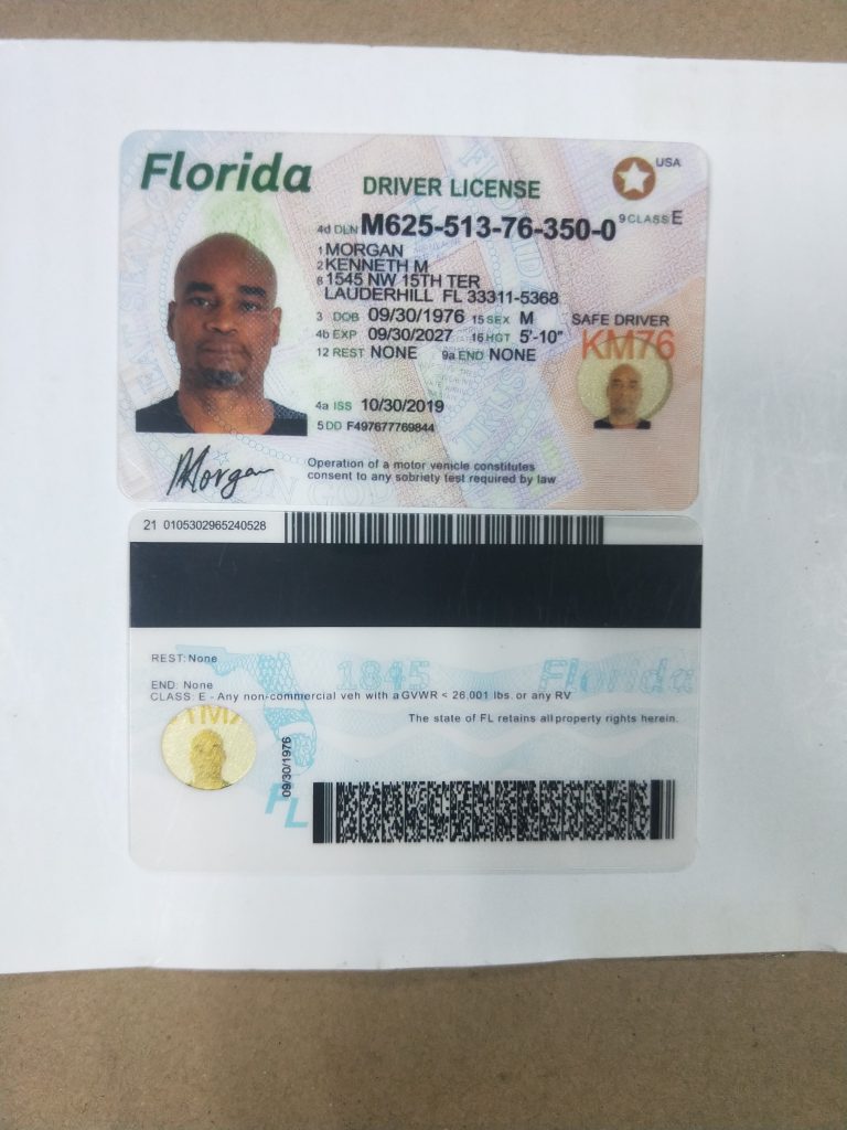 florida dmv license status