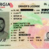 Can Georgia Detects Fake Ids