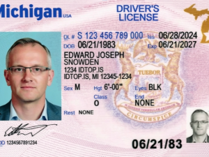 Michigan Fake ID