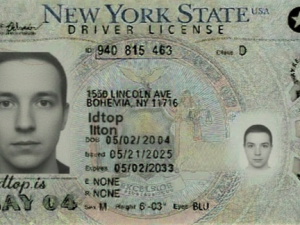 New York Fake ID