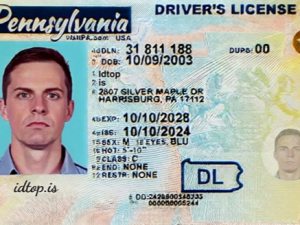 Pennsylvania Fake ID
