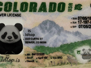 Colorado Fake ID