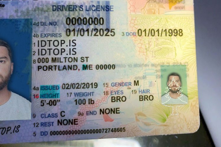 Maine Fake ID Buy Scannable Fake IDs IDTop