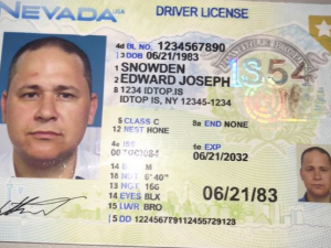 Nevada Fake ID