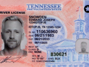 Tennessee Fake ID